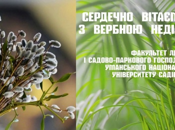 Сердечно вітаємо з Вербною неділею!